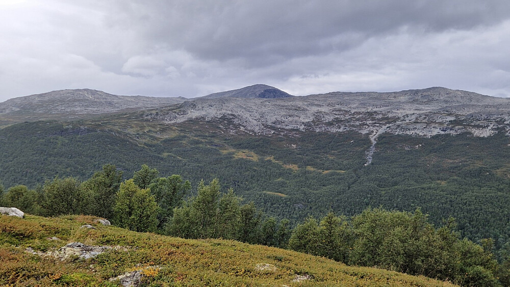 Stora Grånosi.