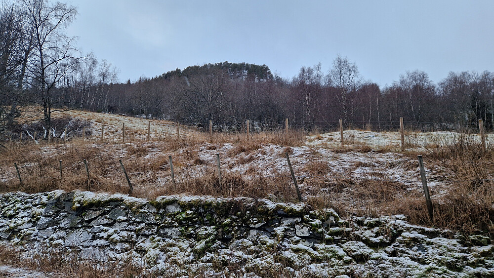 Toppen sett frå start ved Borgund kyrkje.