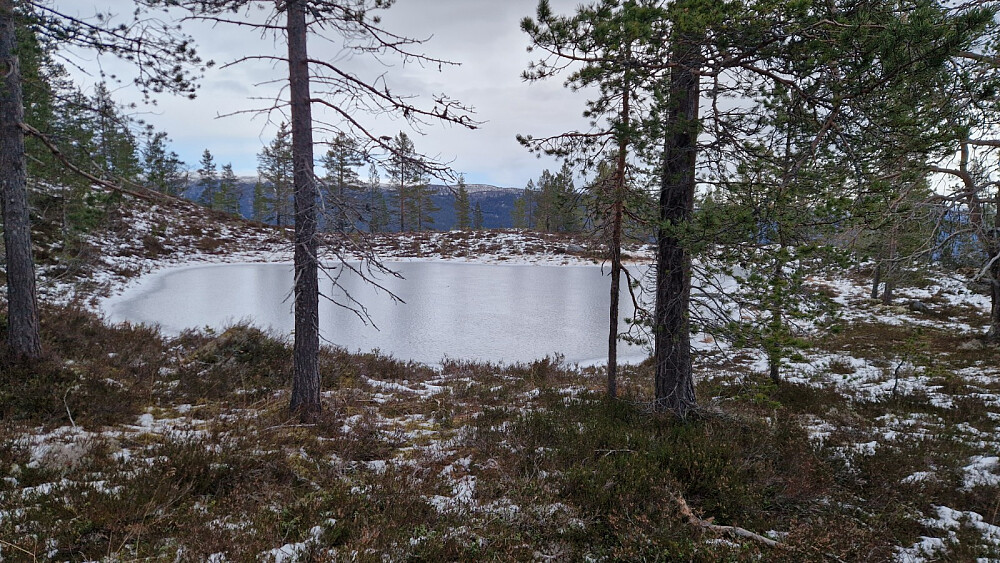 Lite tjern ved toppen.