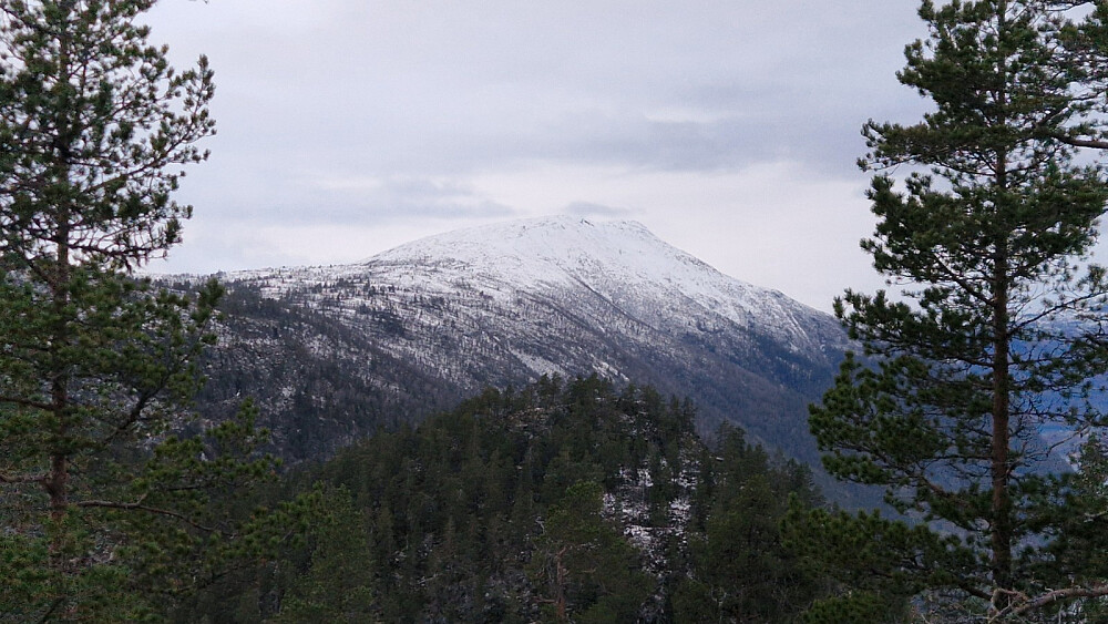 Frå toppen mot Store Haugmelen.