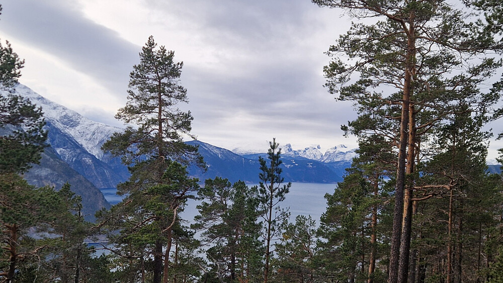 Frå Amleholten og mot Fresvik-fjell.
