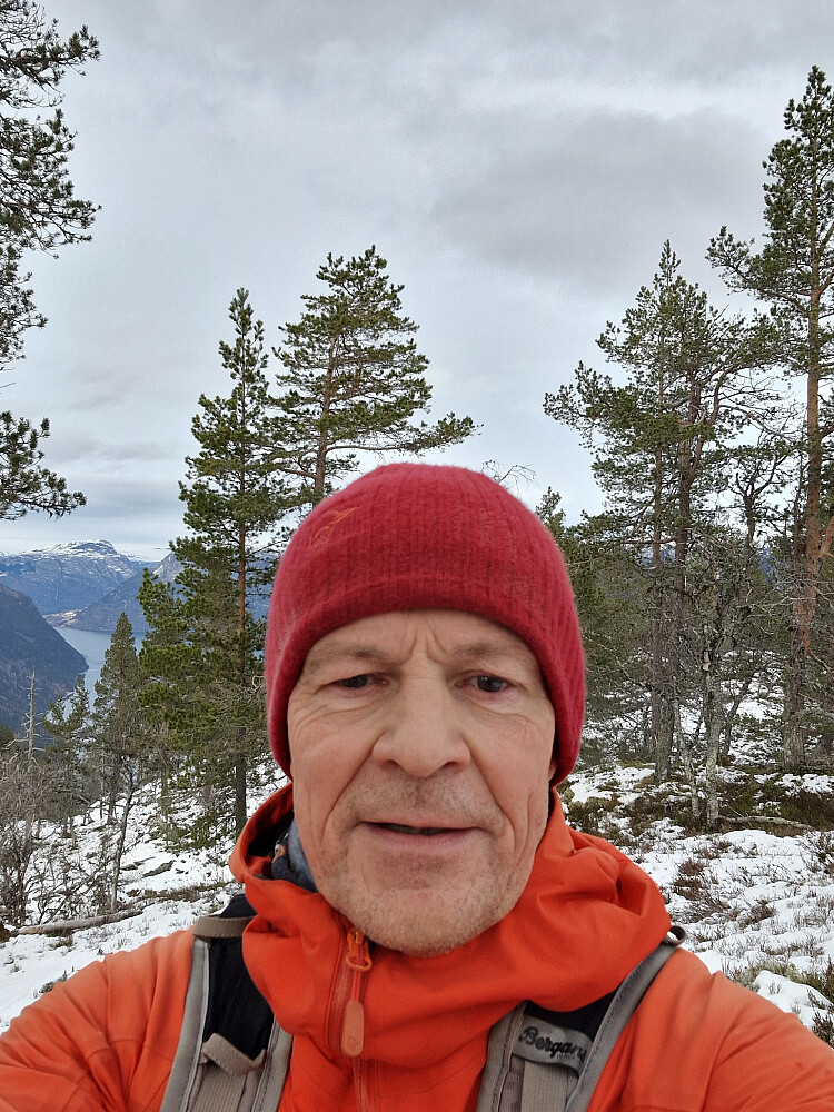 Frå toppen inn Lustrafjorden.