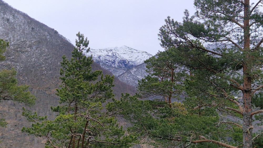 Grindi sett frå Klandenovi.