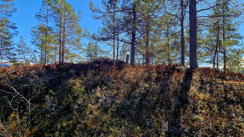 Mulakamben høgste punkt.