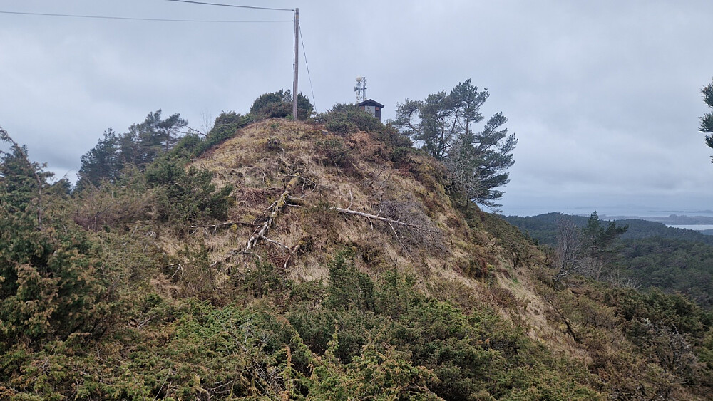 Toppen ligg ca. 250 meter forbi denne masta. Hald ut til høgre.