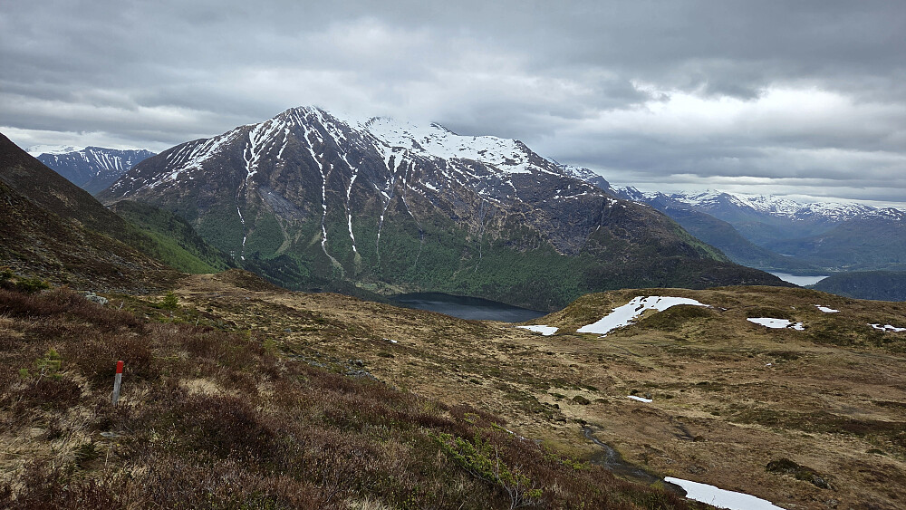 Snøhornet.