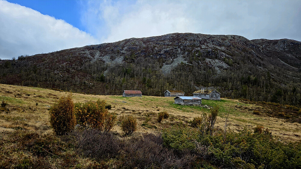 Nyestølen.