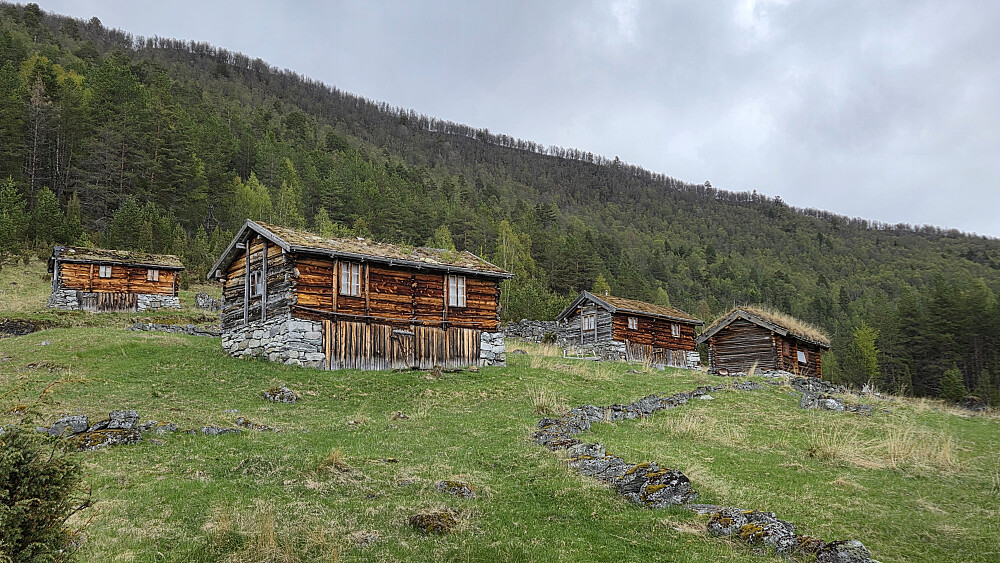 Kveken. Svært flott støl.
