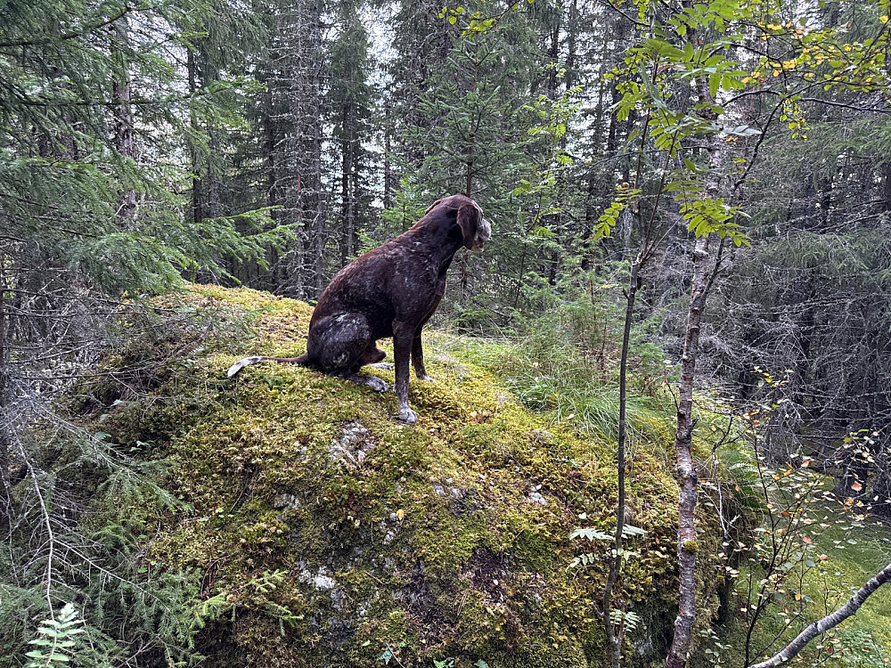 Toppen i nydelig høstsol