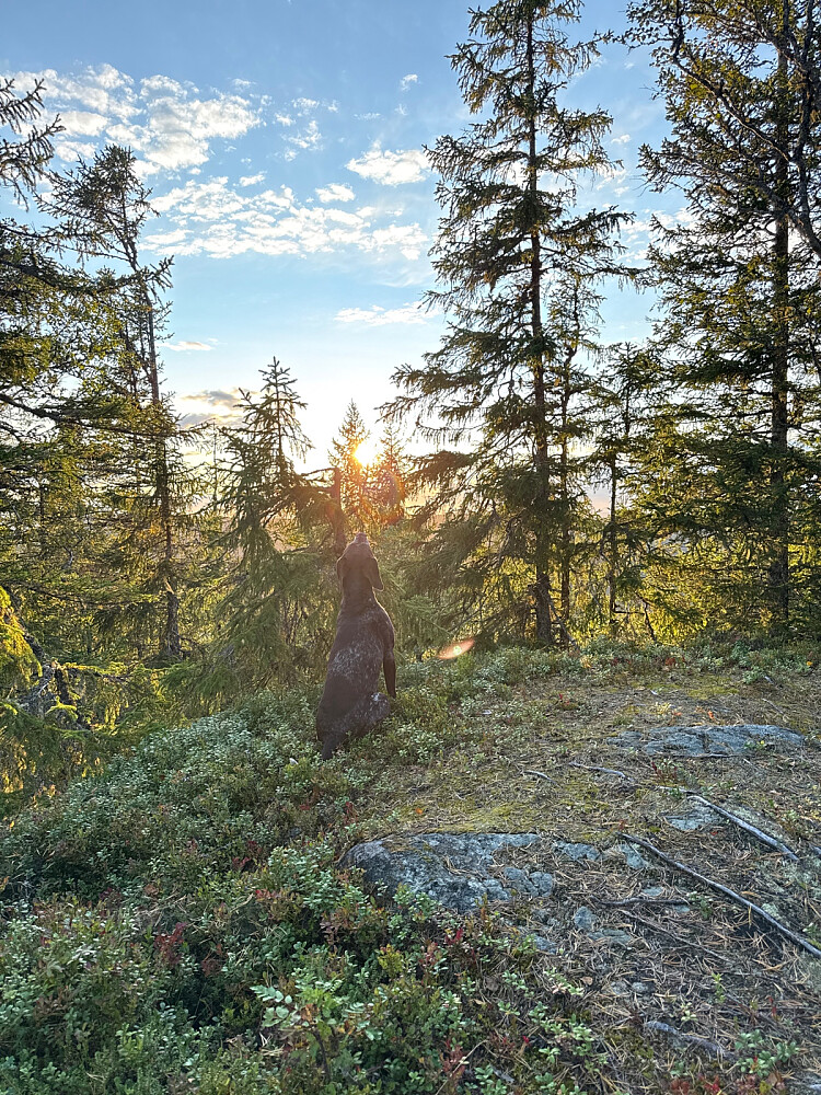Flott høstkveld med sol og varme