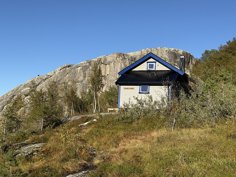 Selneskoia med toppveggen bak