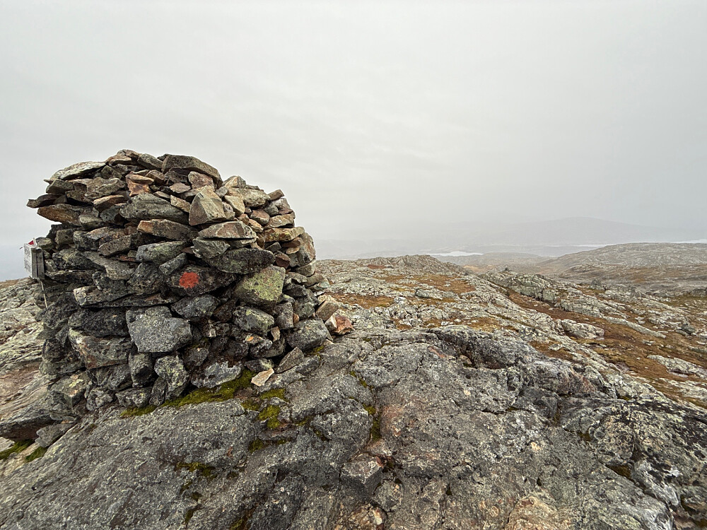 Innslag av yr i dag