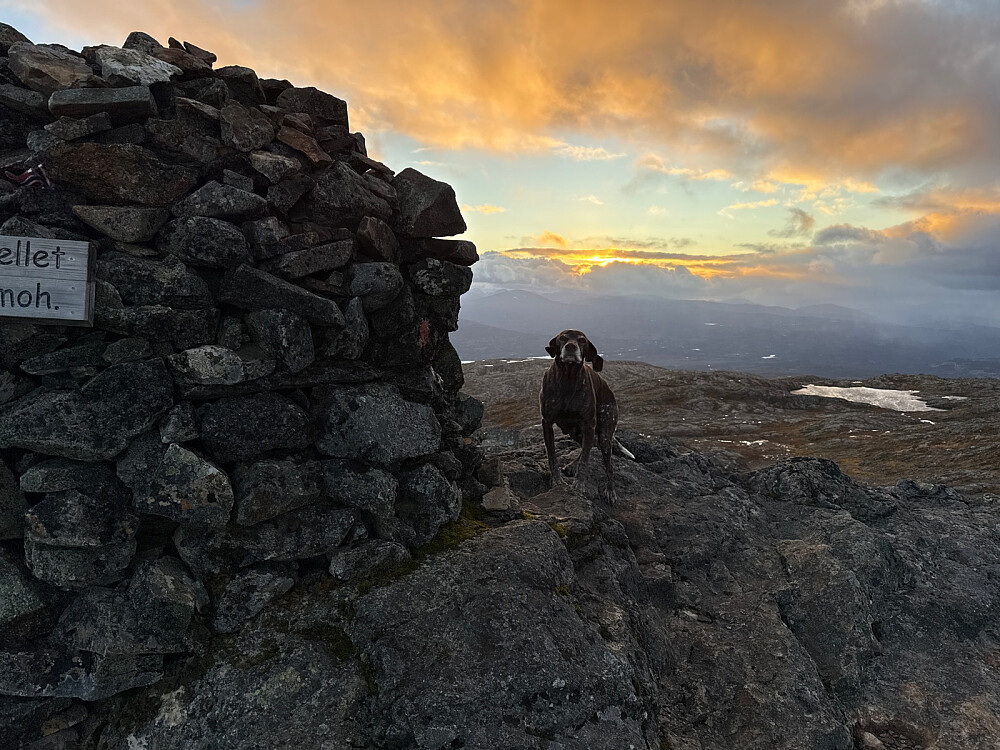 Vestlig vind på toppen