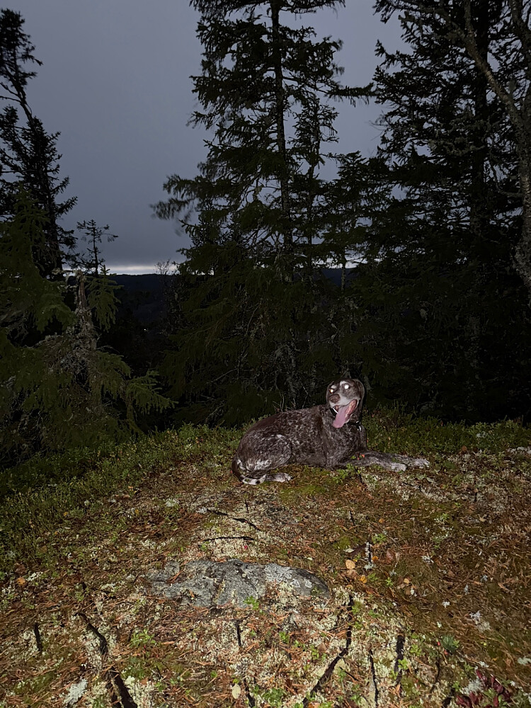 Hodelykta fungerte i 15 sekunder på toppen
