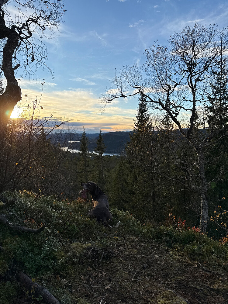 Nydelig høstsol
