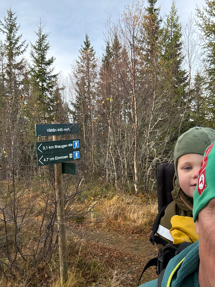 Bra høstvær med sol etterhvert