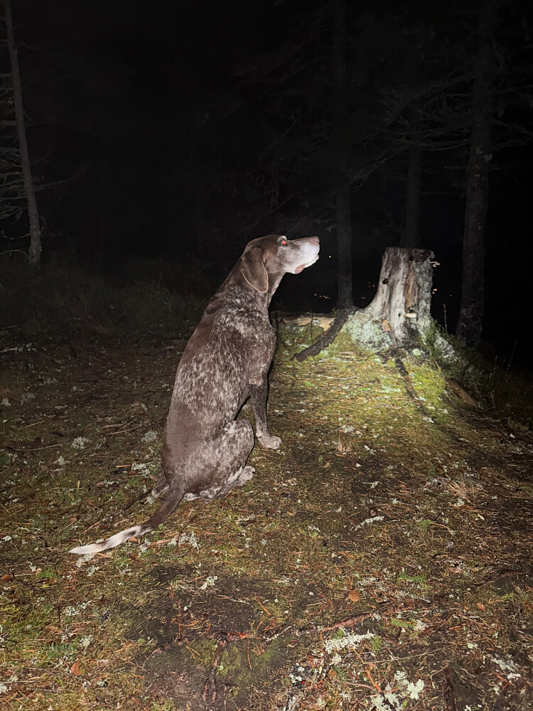Klar og fin luft på toppen