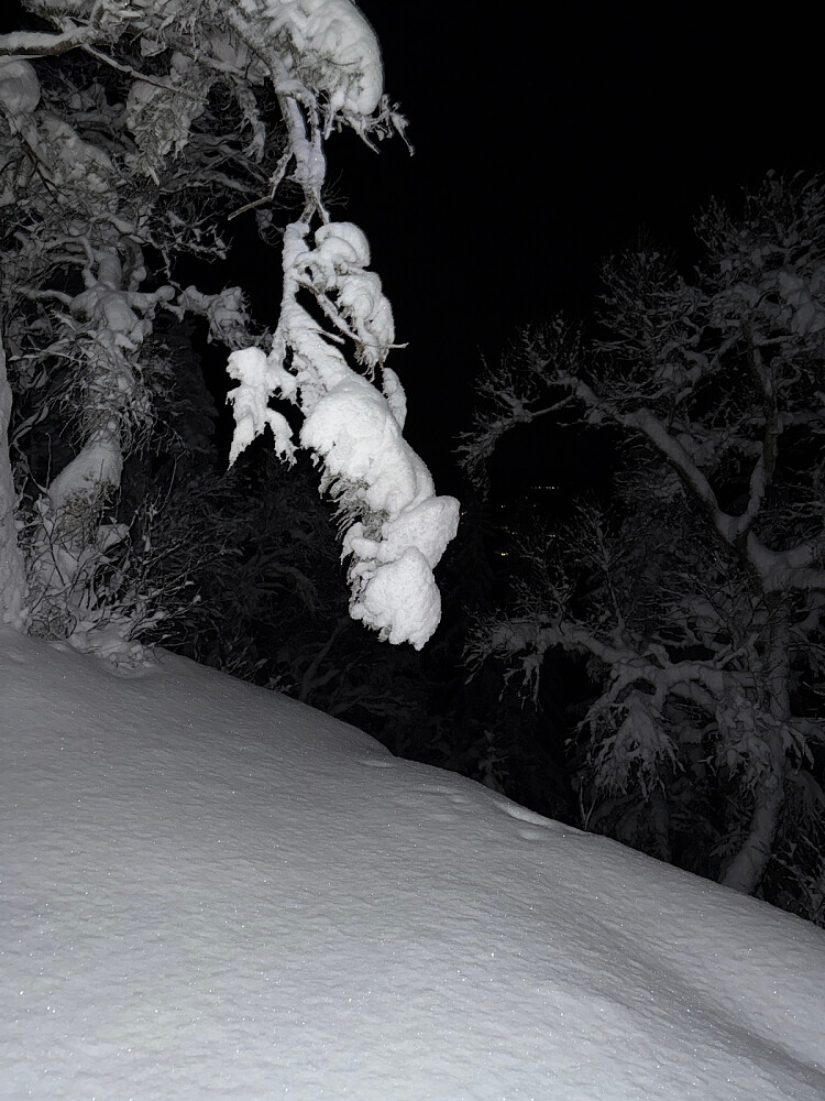 Ikke tid til toppfoto i dag..