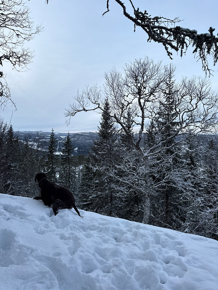Overskyet men fint vær