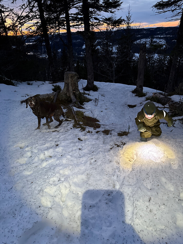 Veldig artig med hodelykt