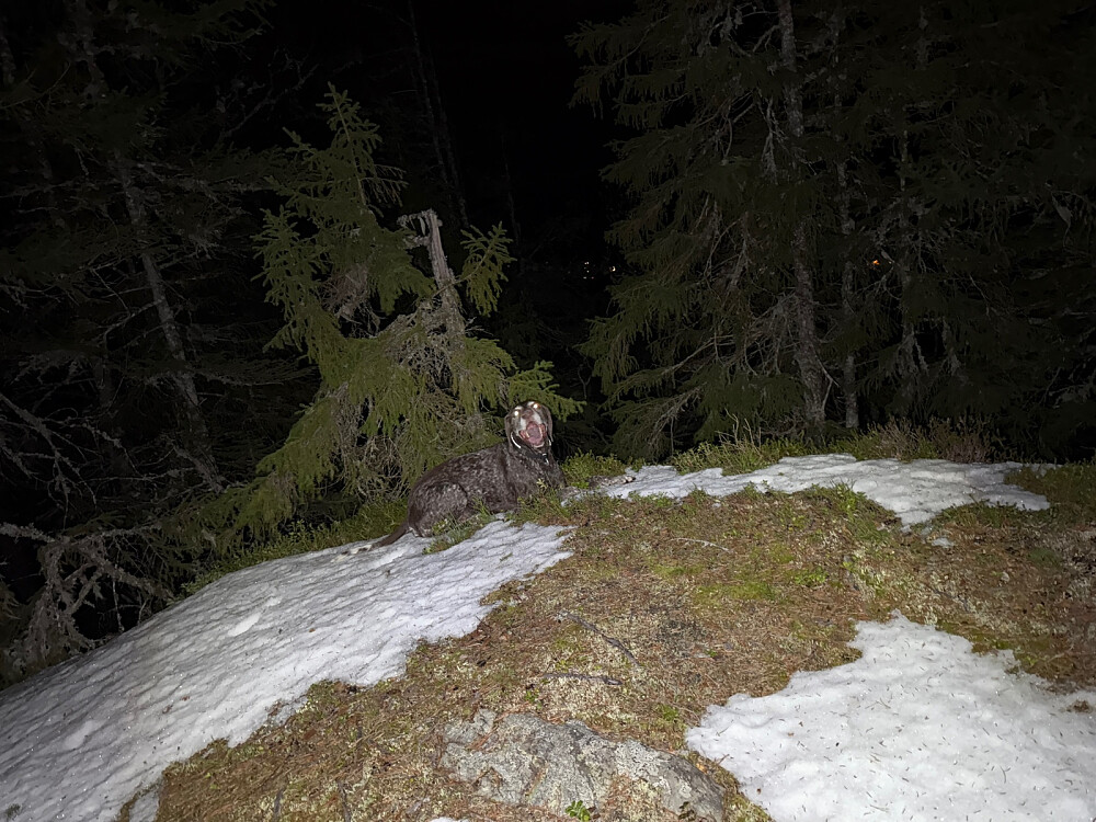 Vi kan godt få påfyll med snø..