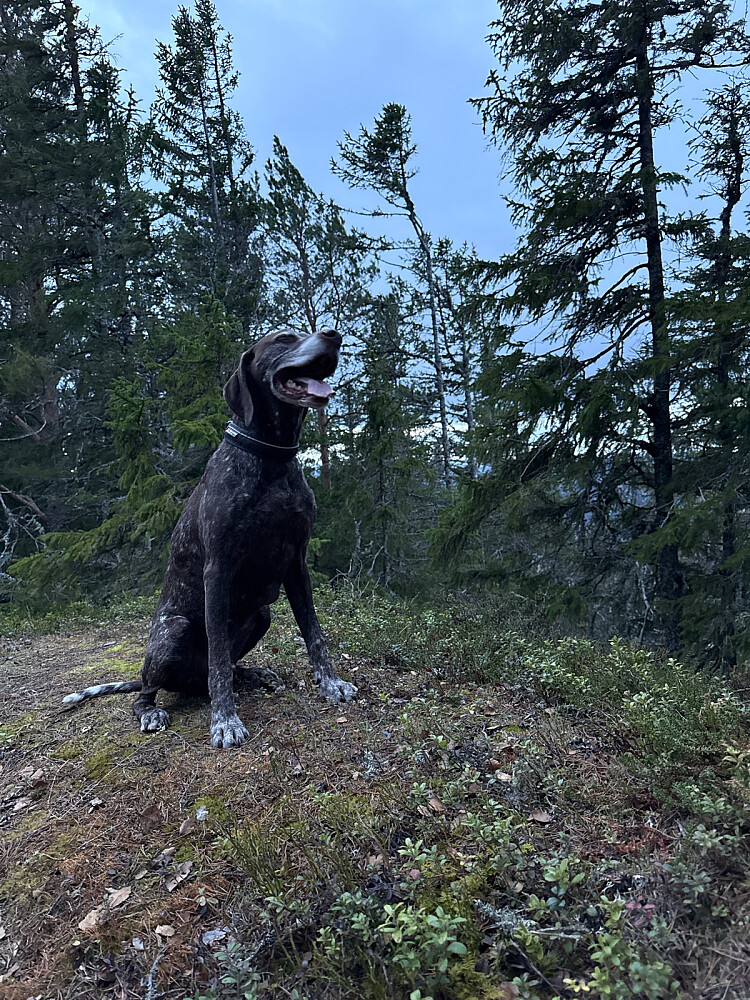 Kjapp pause på toppen