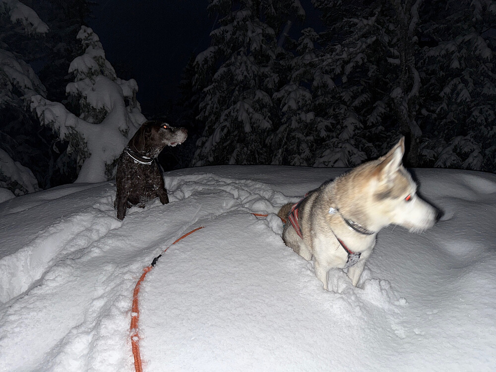 Minus 8 i ettermiddag