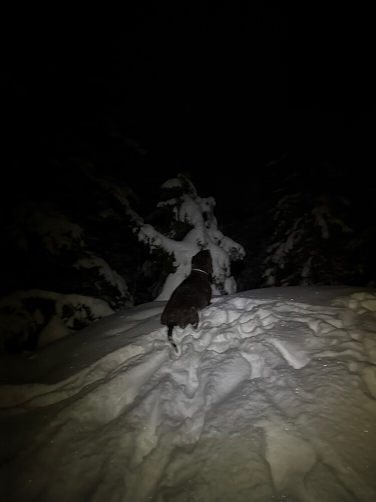 Ingen endring i snøforholdene