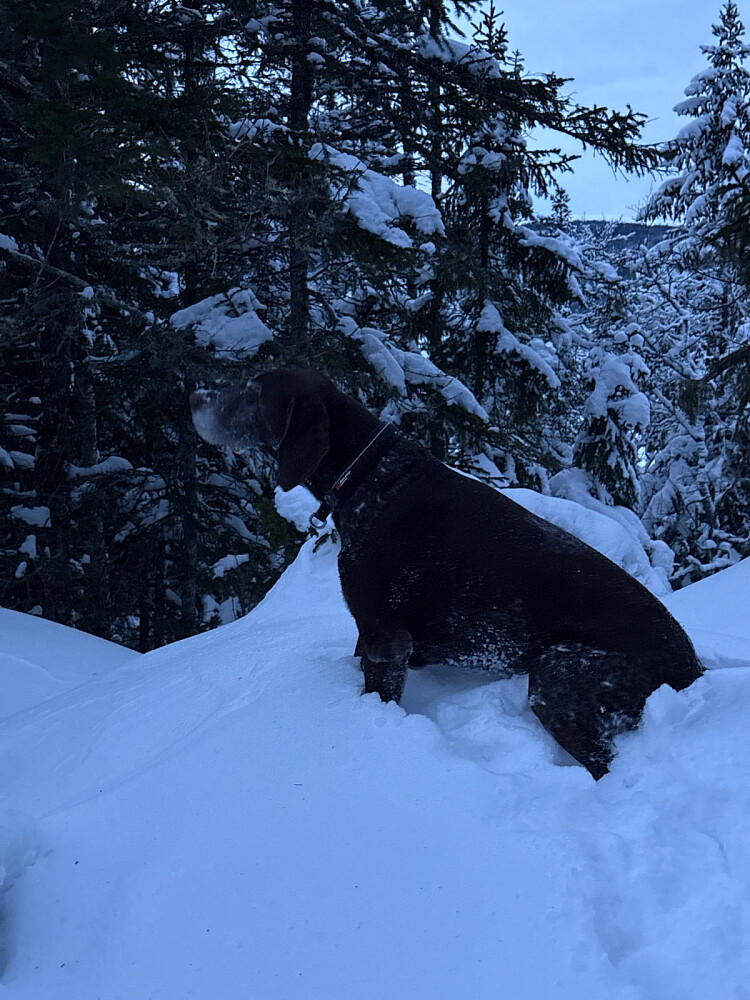 Rene sydenstemningen med bare -4 grader