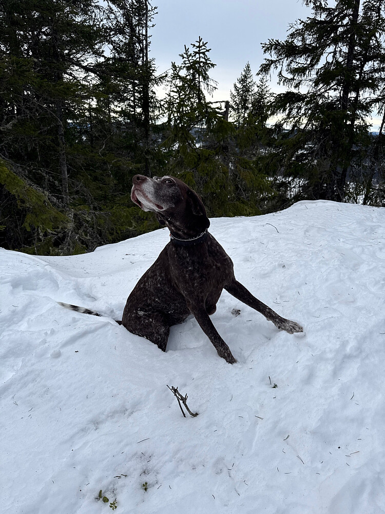 Godt og varmt med null grader