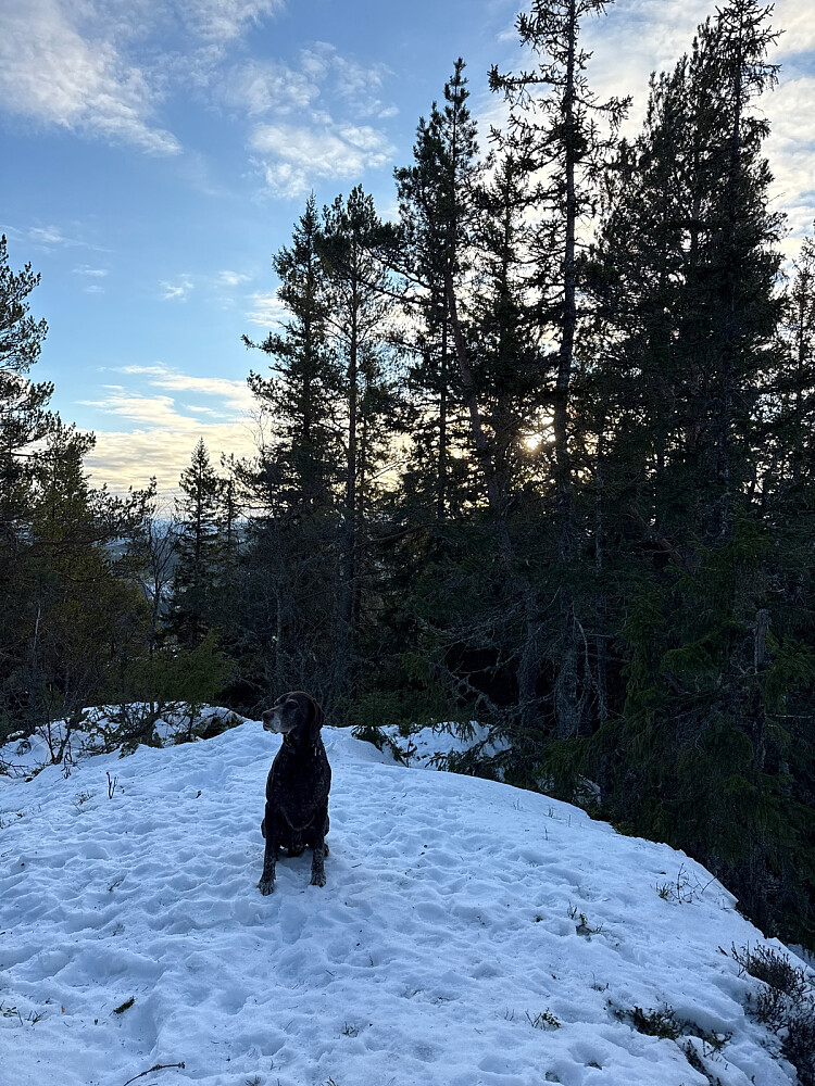 Nydelig vintervær med sol, vindstille og minus 8