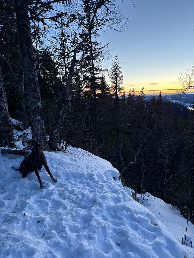 Klarvær med moderat vind og bare 4-5 kuldergrader