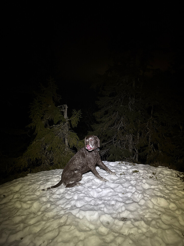 Snødrysset fra i formiddag er ikke merkbart
