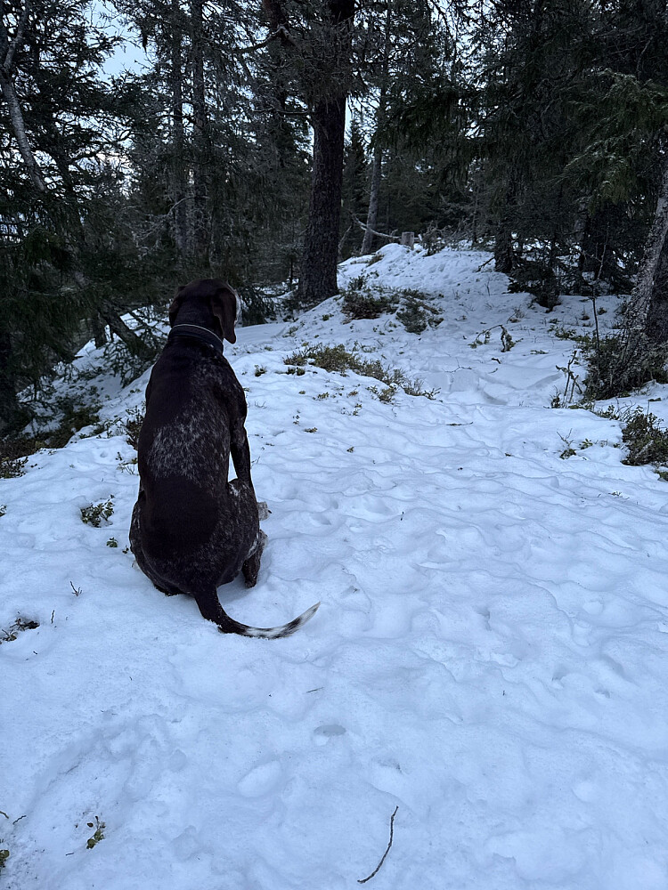 Nytt snødryss i dag men fortsatt alt for lite til at det gjør noen forskjell