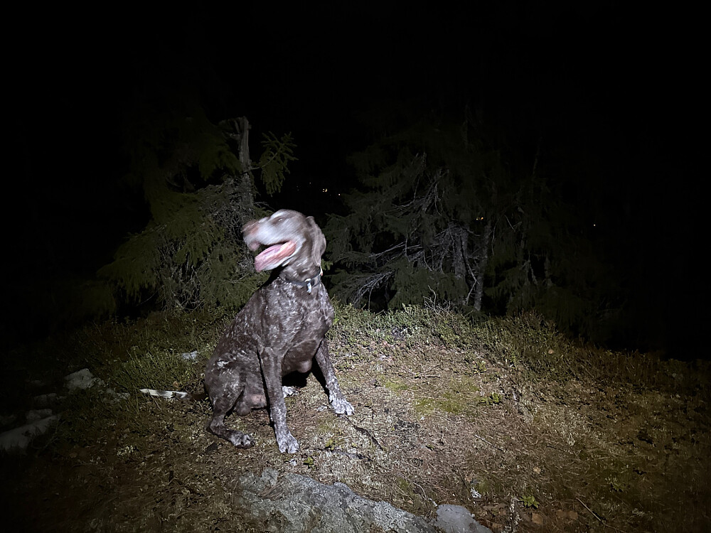 Kjapp stopp på toppen