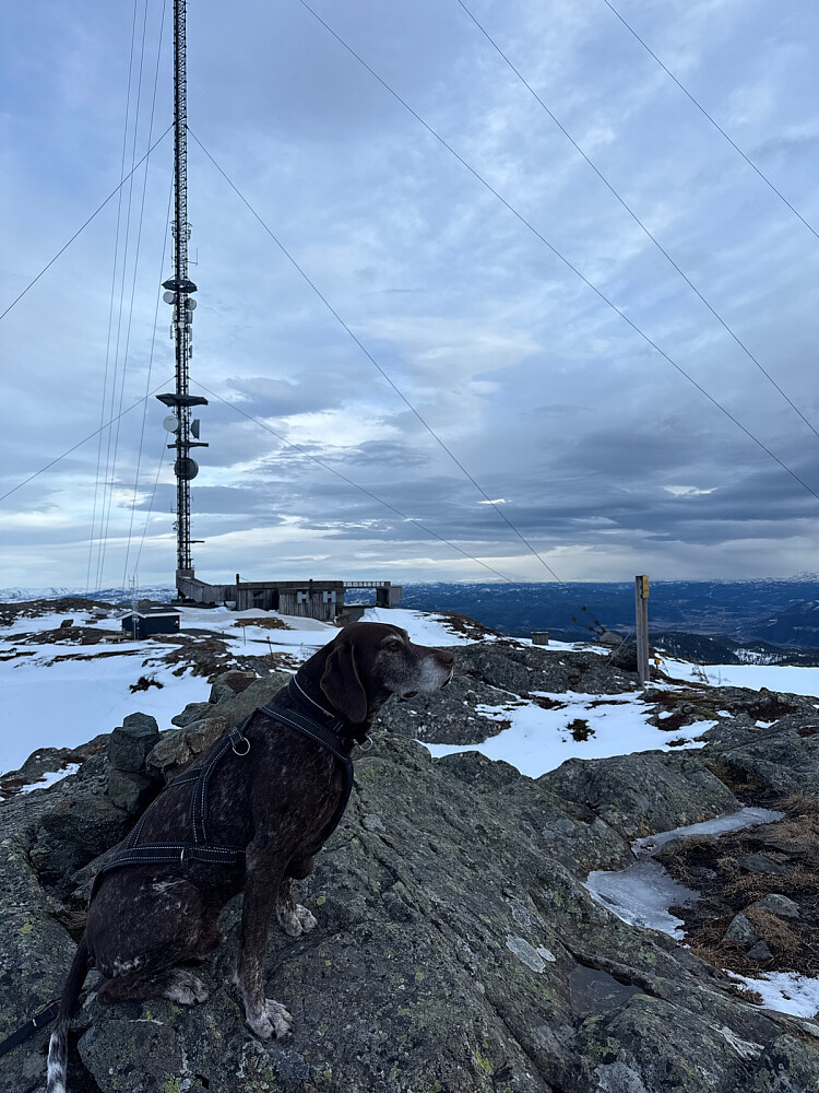 10-åringen på topp!
