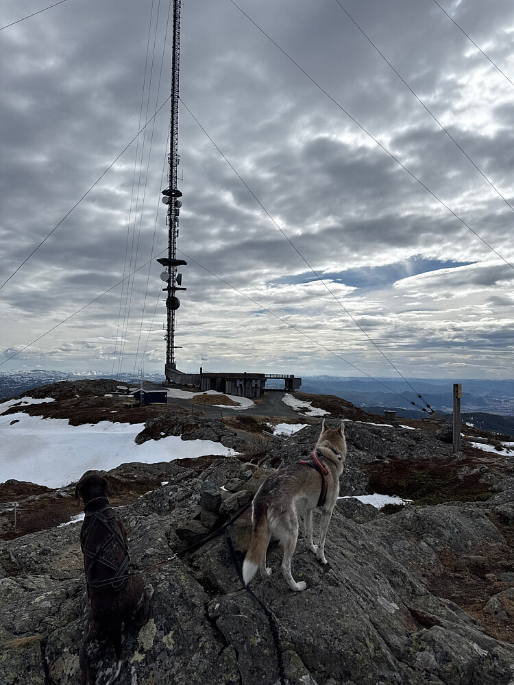 Stadig mindre snø på veien opp til toppen
