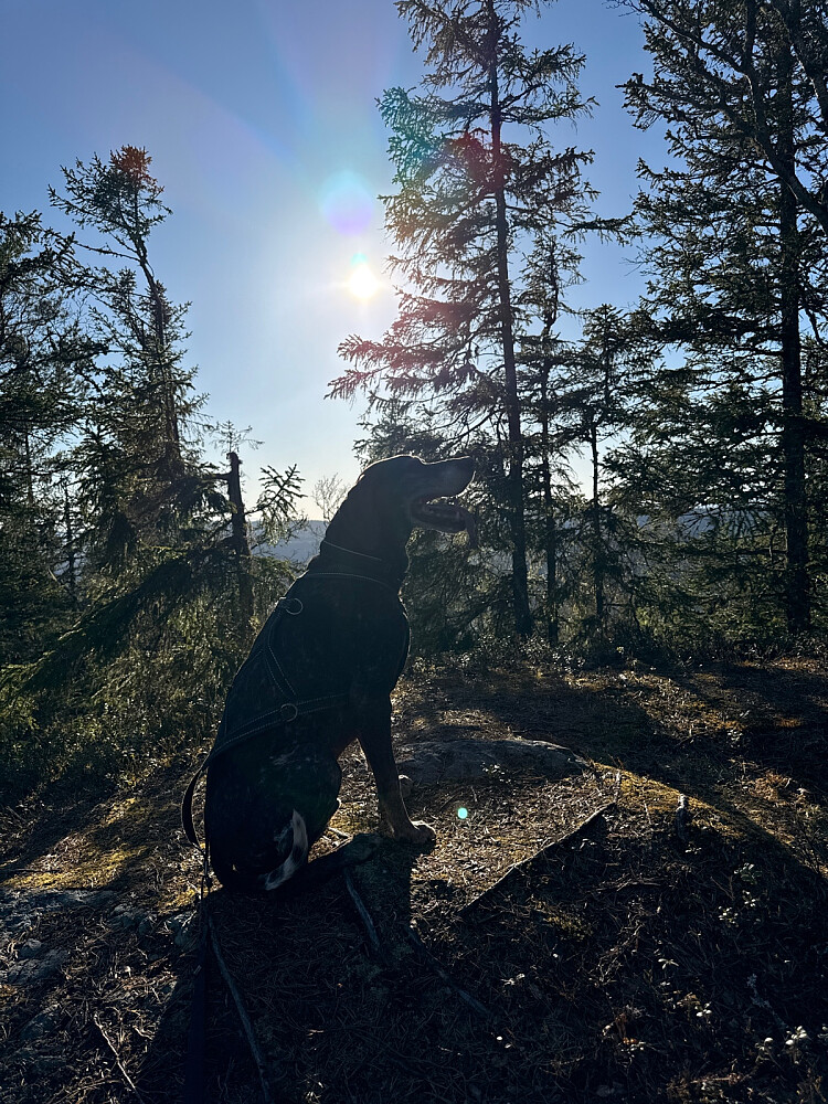 Våttåsen