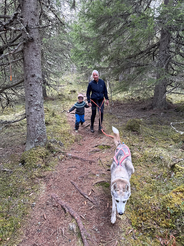 Godt å ha ei hånd å holde i