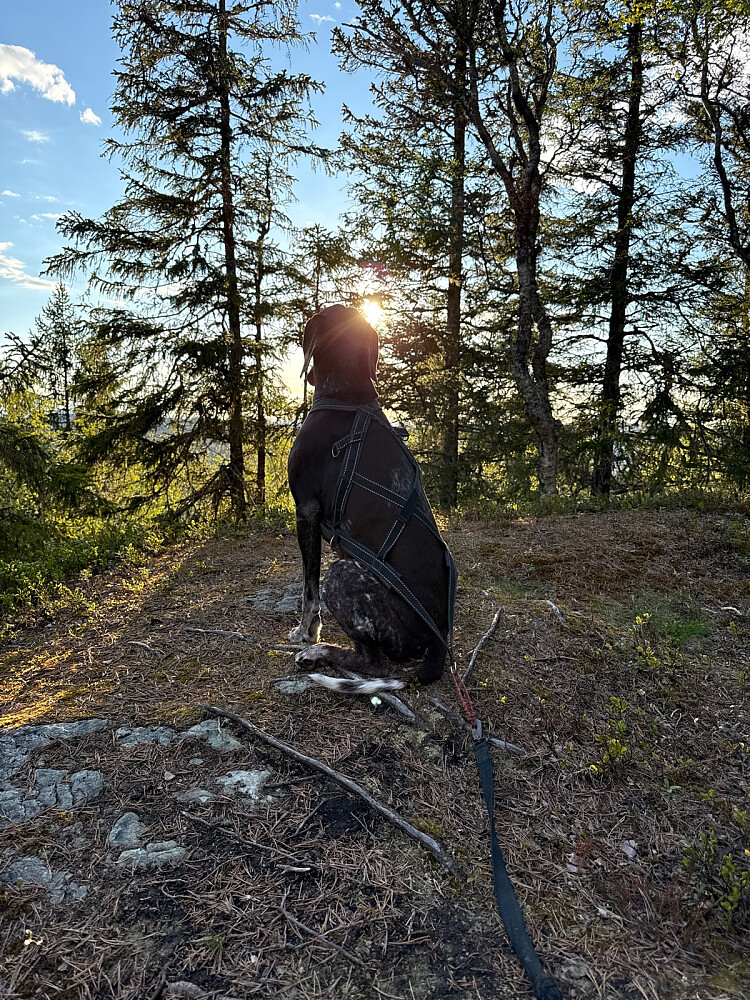 Ordentlig sommervær!
