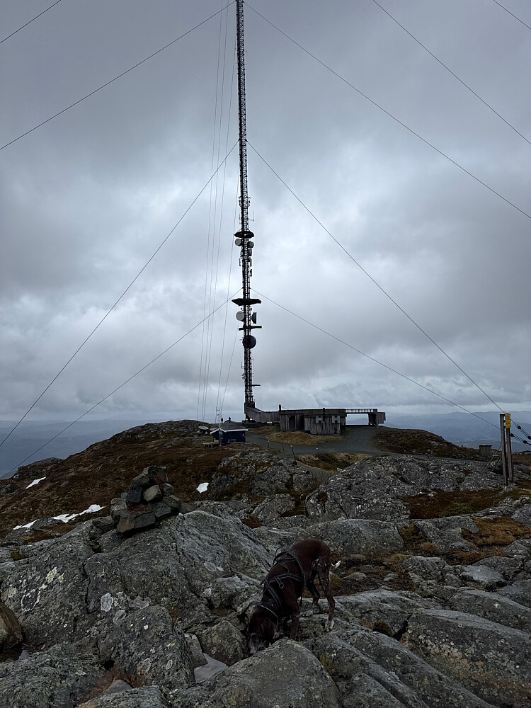 Atlas ble tørst på tur opp