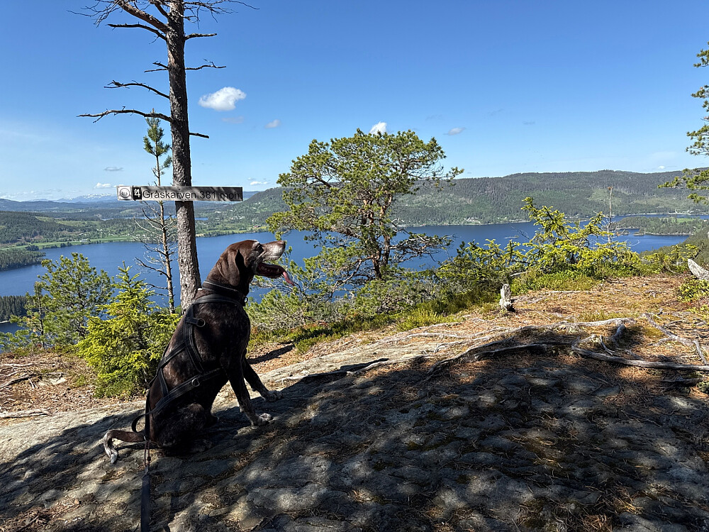 God utsikt over Ånøya fra Gråskarven