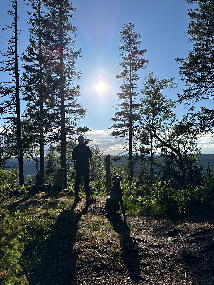 Nydelig vær