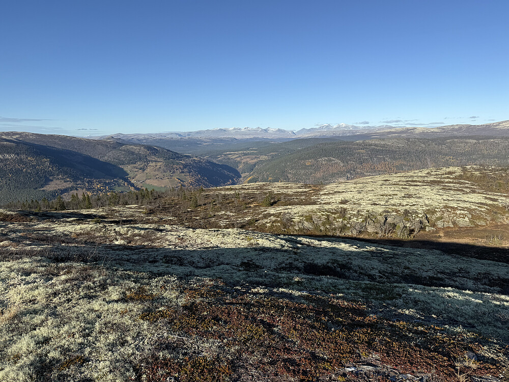 Fra Teigkampen (1035 m) med utsikt mot Rondane i nord.