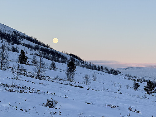 Fullmånen stiger opp over terrenget.