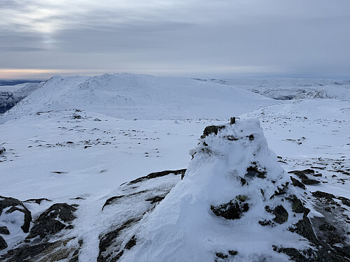 På Bjørnbakknøse (1705 m) mot vest.