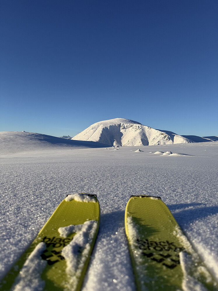 På Veslfjellet med utsikt til Besshøe (2258 m).