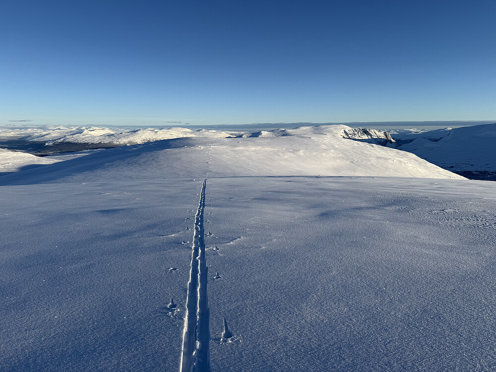 Fra Veslfjellet mot øst.