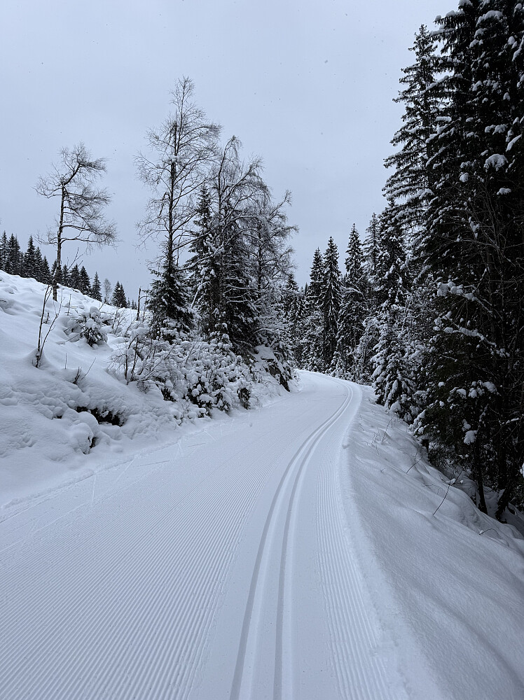 På vei opp fra Sørkedalen.