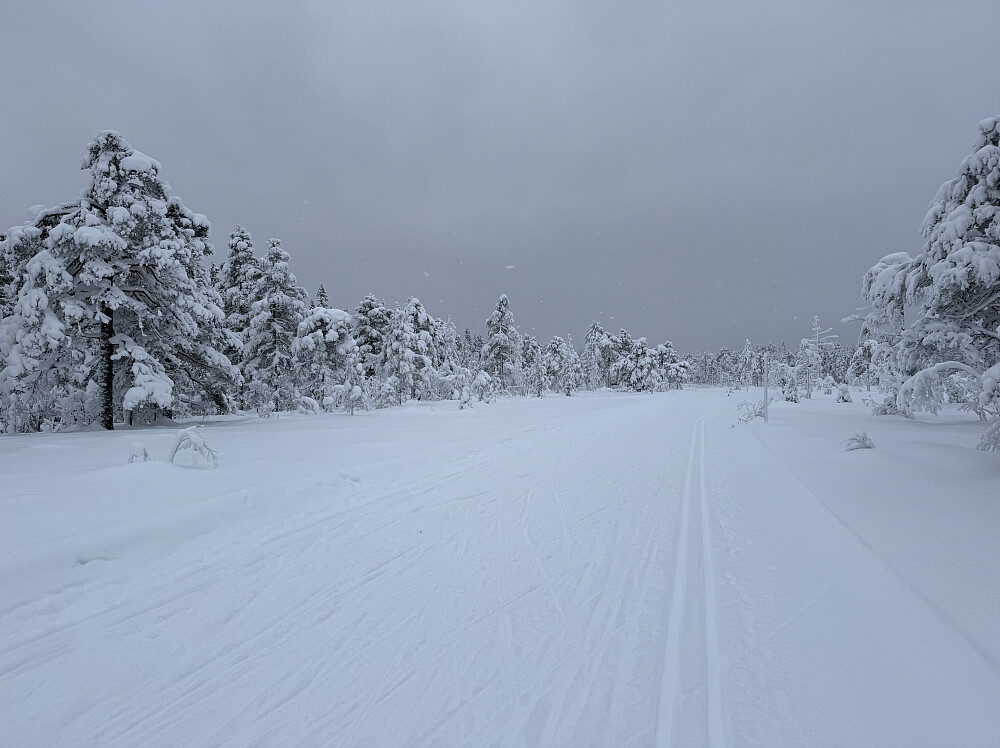 Nord for Løvlia, ca. 600 m.